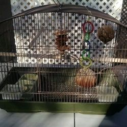 Bird Cage