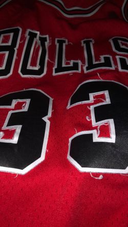 Real Scottie Pippin Jersey 