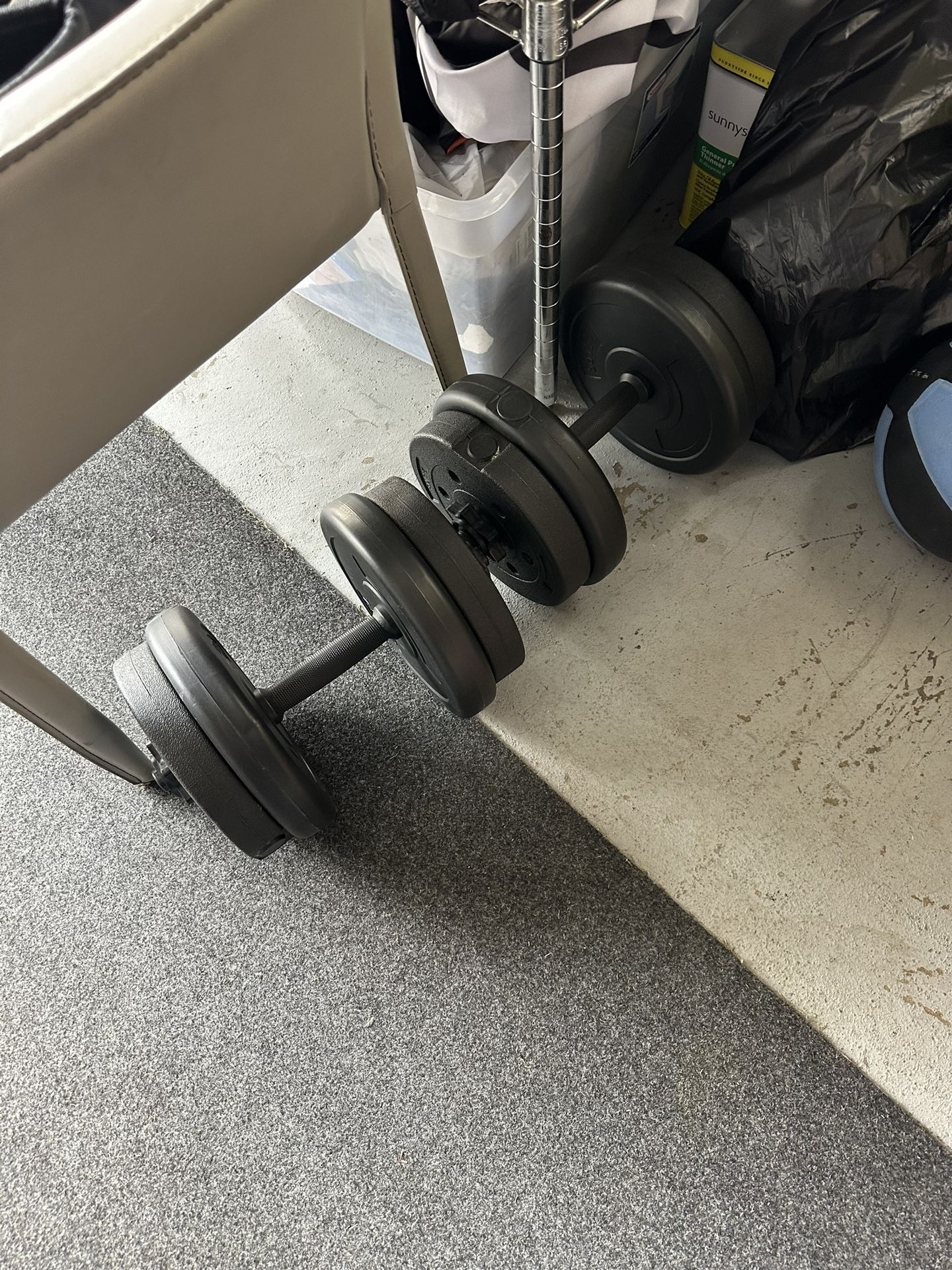 20 Pound Dumbbells