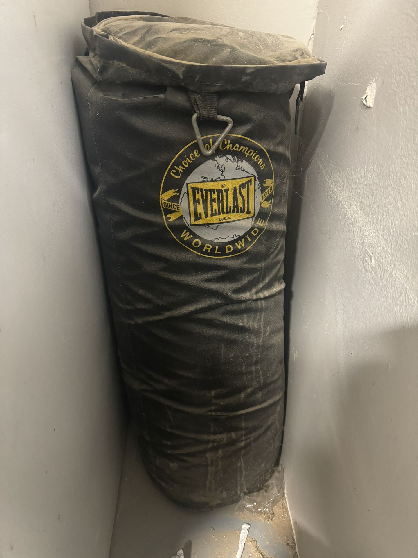 Everlast punching bag 70 Lbs. 