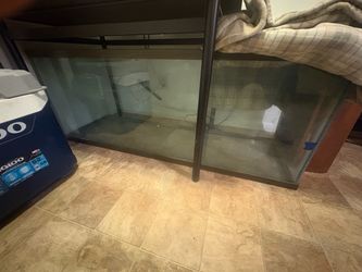 Fish tank