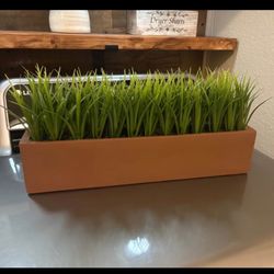 Greenery In Heavy Pot 