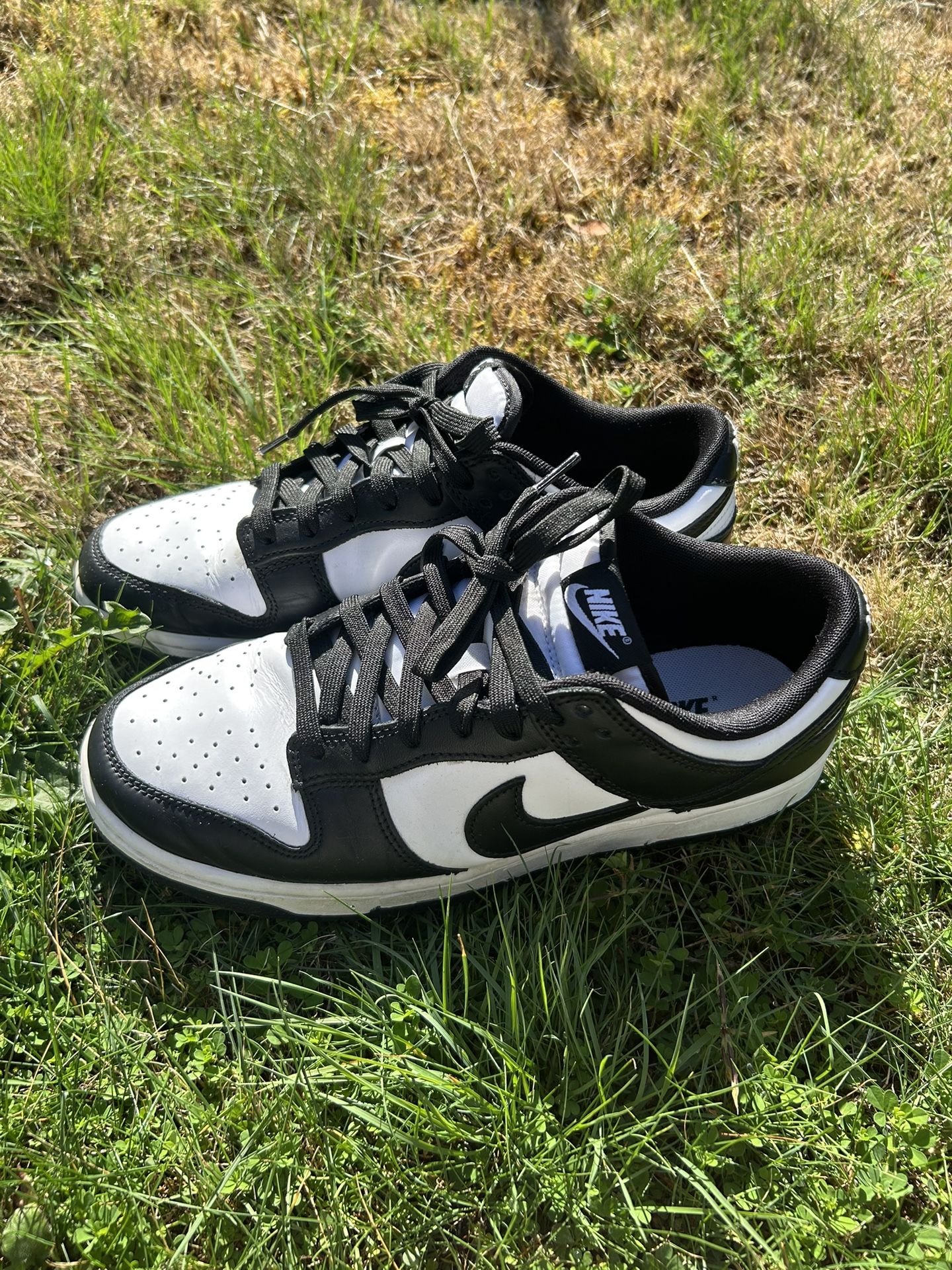 Nike Panda Low Dunks