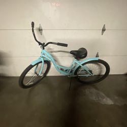 Beach Cruise/Seachange Bike