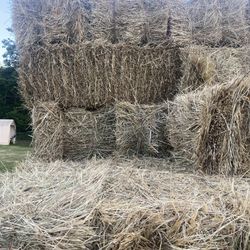 2024 Hay