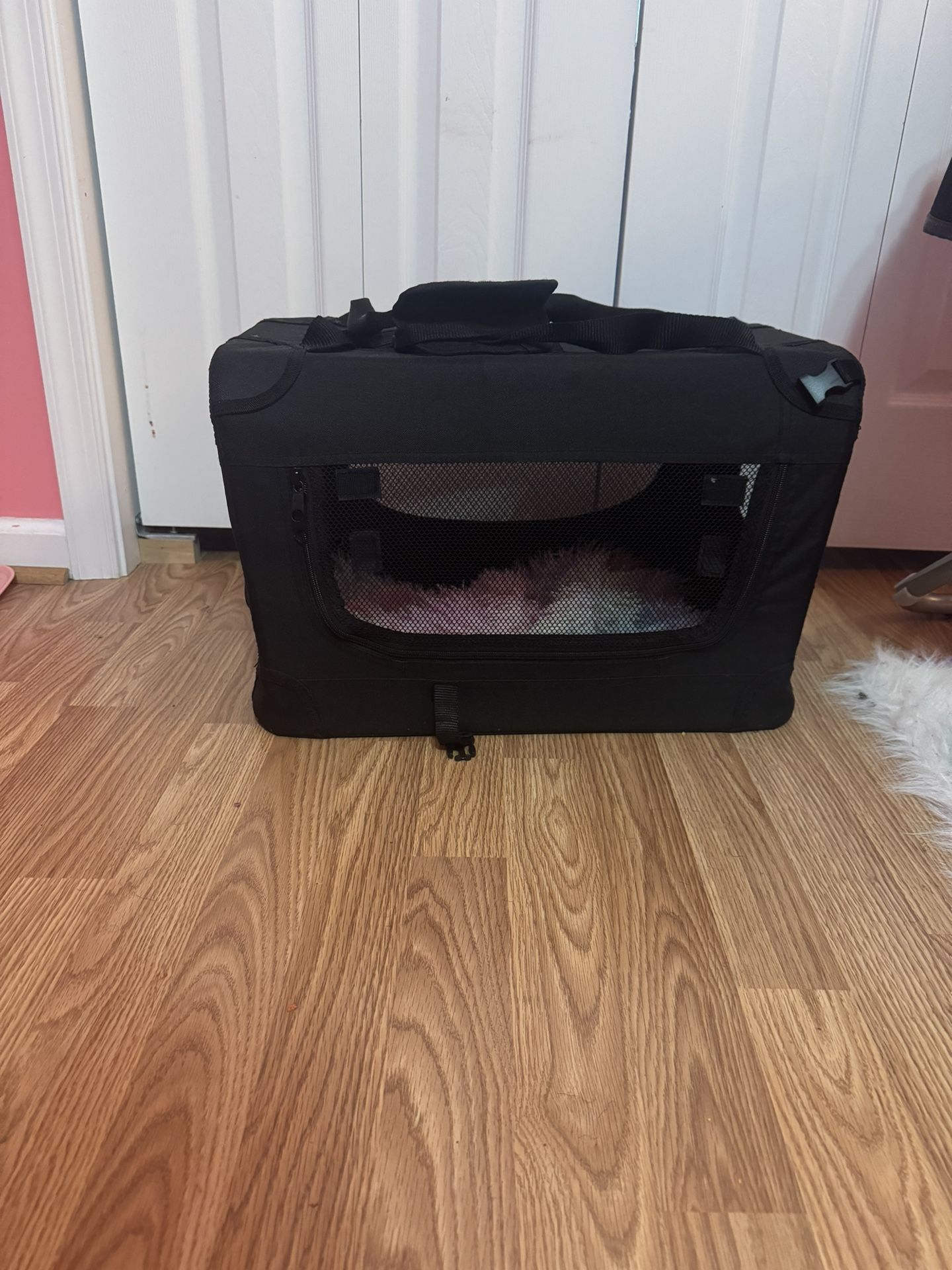 Collapsible Dog Crate for Small Dogs,
