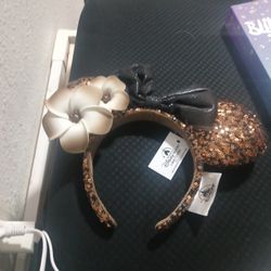 Minnie Mouse Ears 25