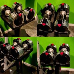 WEIDER ADJUSTABLE DUMBBELLS 10-50LB GYM DUMBBELL WEIGHTS & STAND