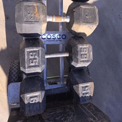 65lb Dumbbells 