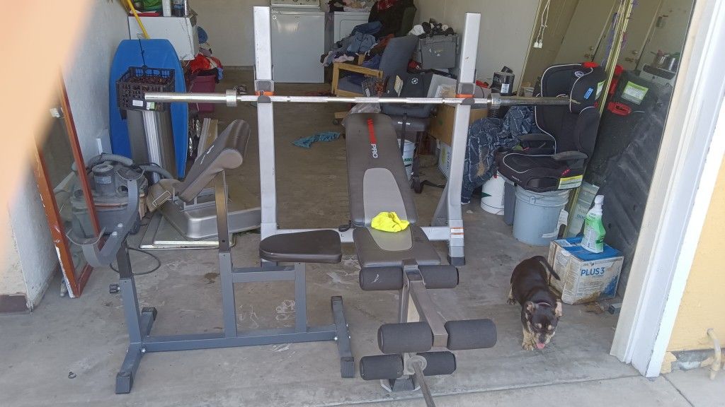 Weight Bench