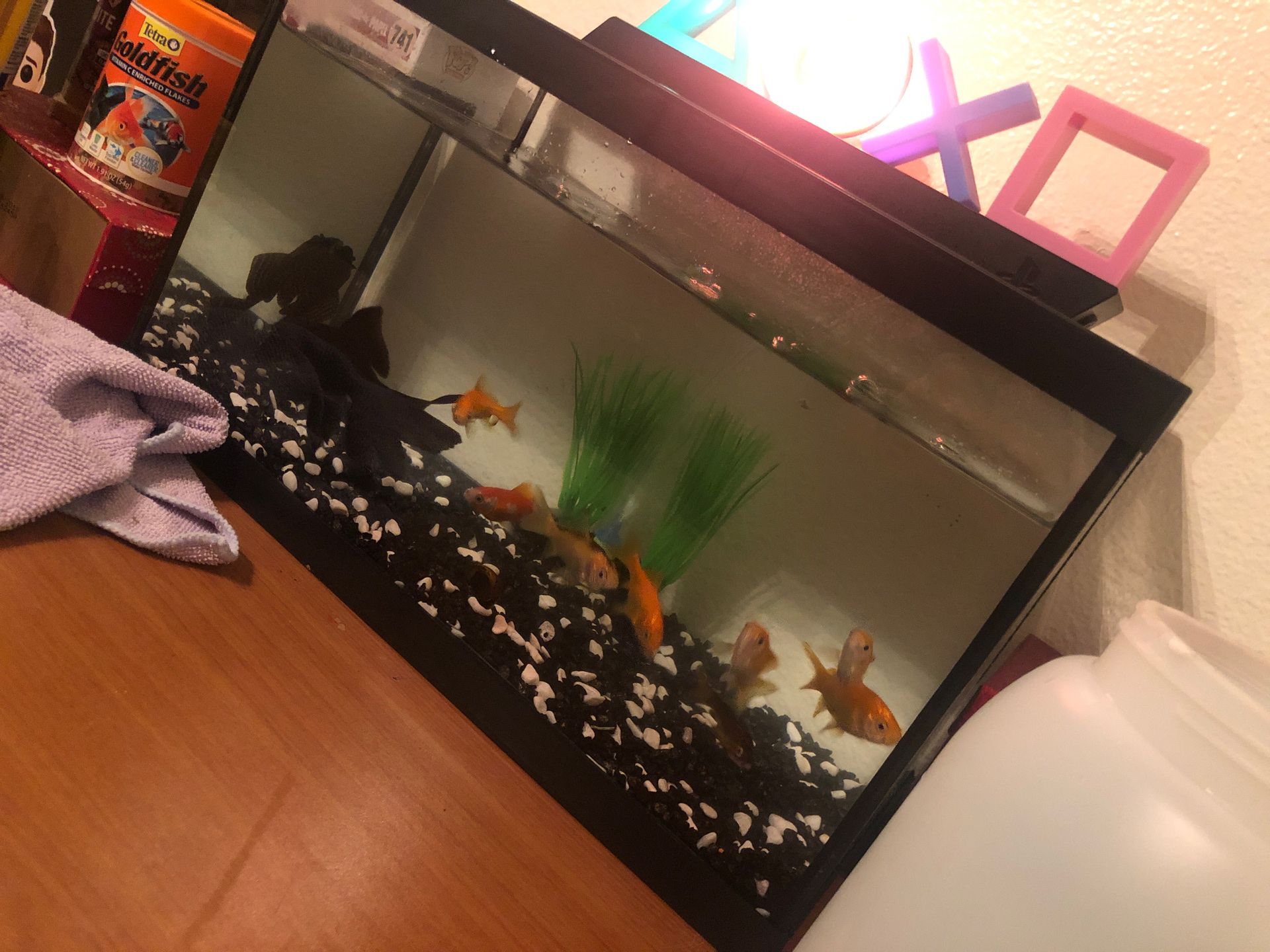 Fish tank ( no fish )