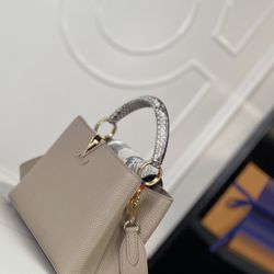 Capucines Masterpiece Louis Vuitton Bag
