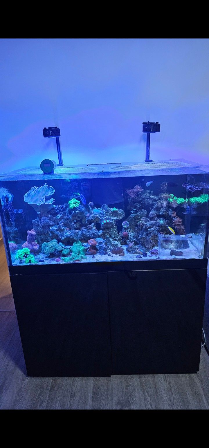 150 Gallon Reef Tank