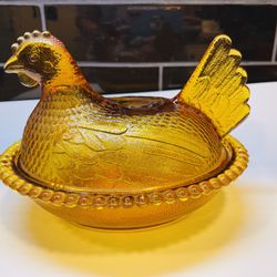 Beautiful And Rare Golden Amber Hen On A Nest 