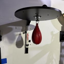 Century Martial Arts Fold-Away Wall Mount Speed Bag Platform with Bag | 6 Adjustable Heights