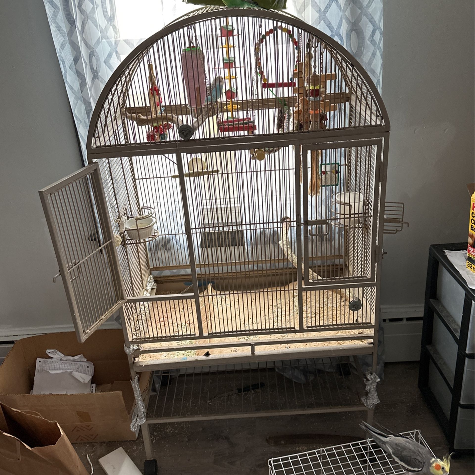 Birds And Cages