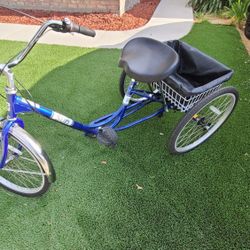 Sun 7 Gear Tricycle For Adult