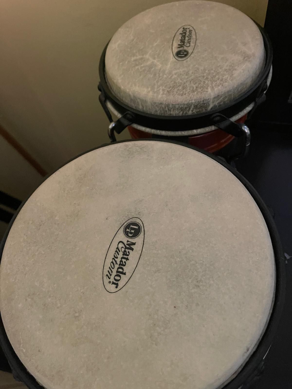 Bongo