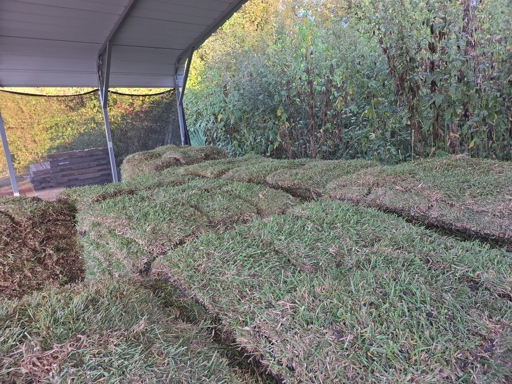 St Agustine Pallet 150