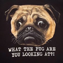 Funny PUG T-shirt 2XL Pet Dog Tee