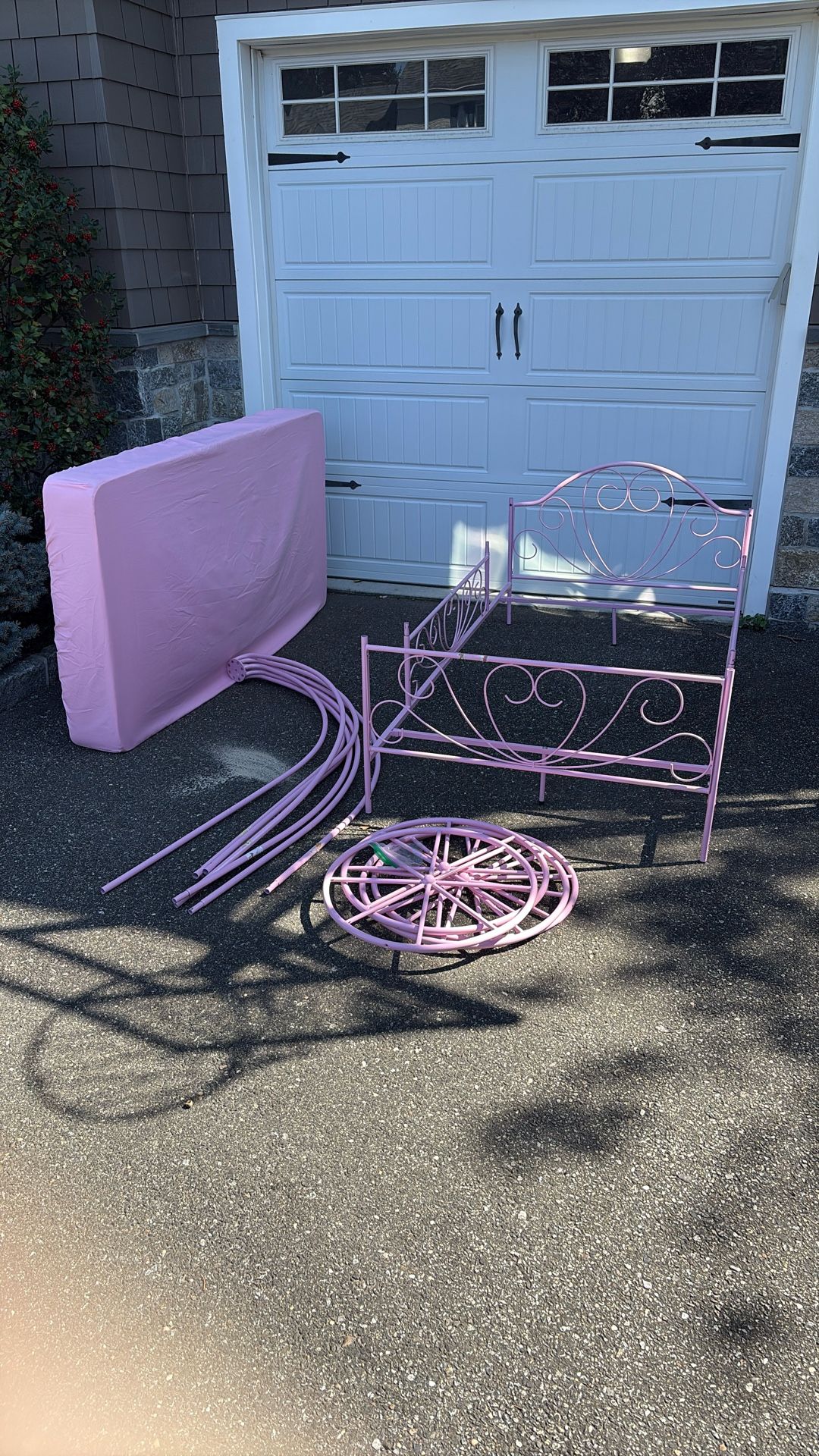 Free Princess Canopy Twin Bed & Box Spring
