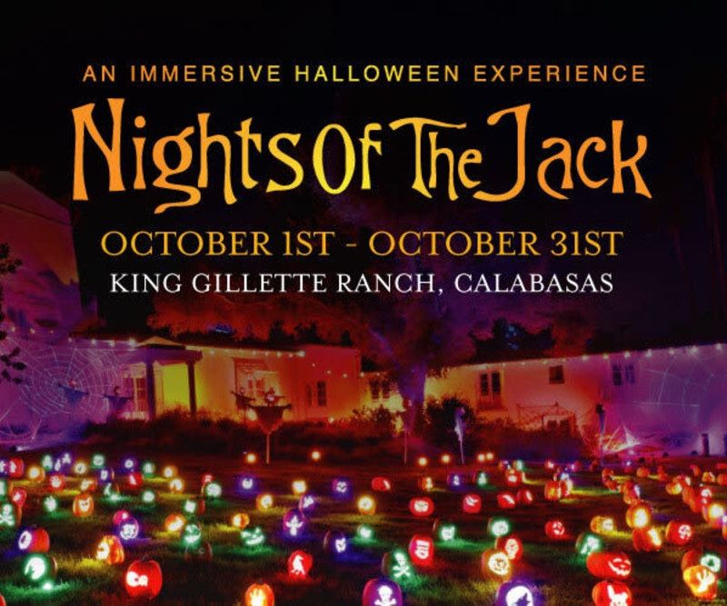 Nights Of Jack Calabasas