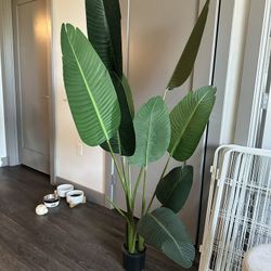 5 Foot Artificial Silk Bird of Paradise Palm Tree