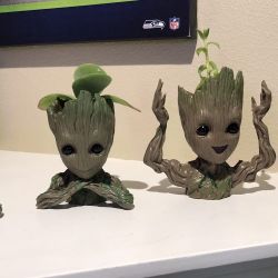 Set Of 4  Plastic Groot Planters W/ Succulent 