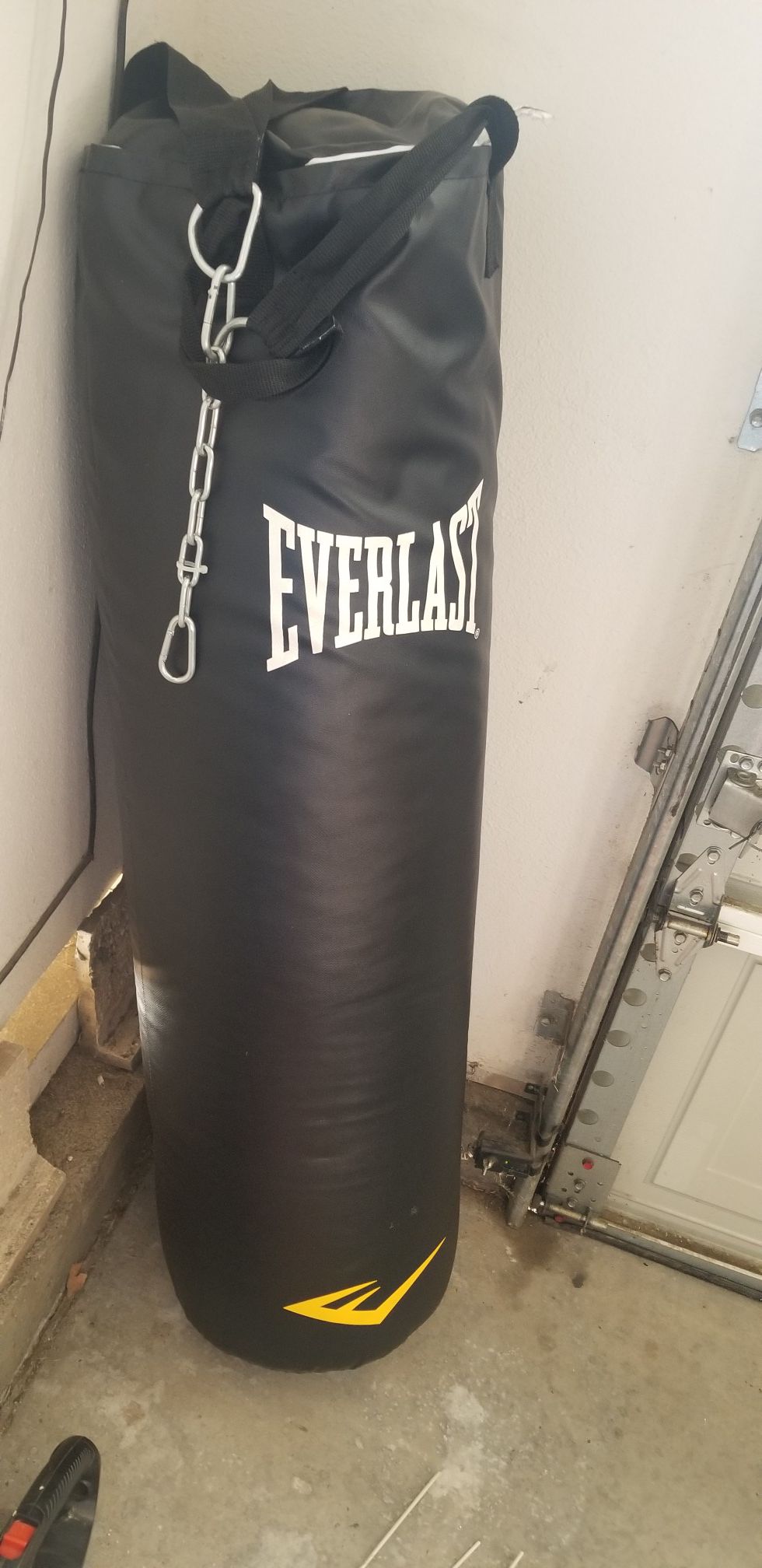 Everlast 100lb punching bag