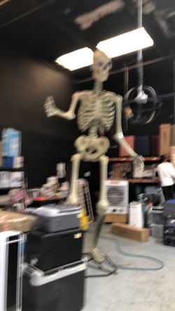 12’ Skeleton