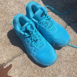 Crayola Adidas