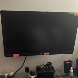 Computer Monitor 