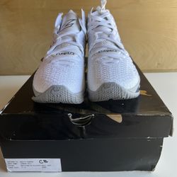 PE LEBRON 17  AKRON HOME 