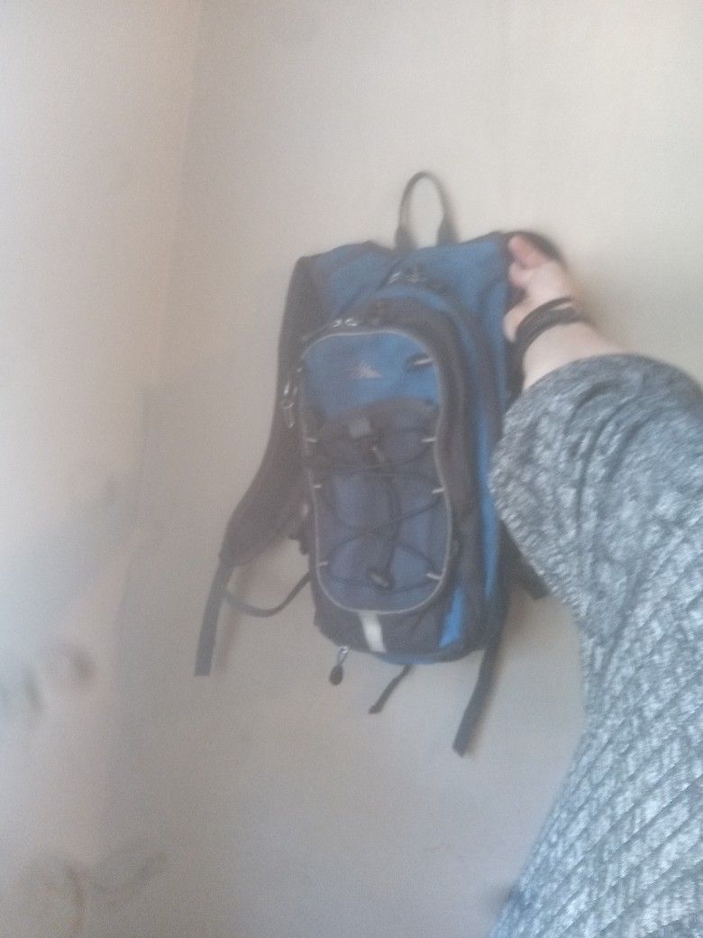 High Sierra Camel Backpack With Air mesh Back