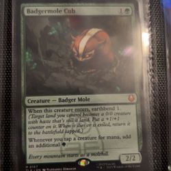 Avatar The Last Airbender MTG Badgermole Cub