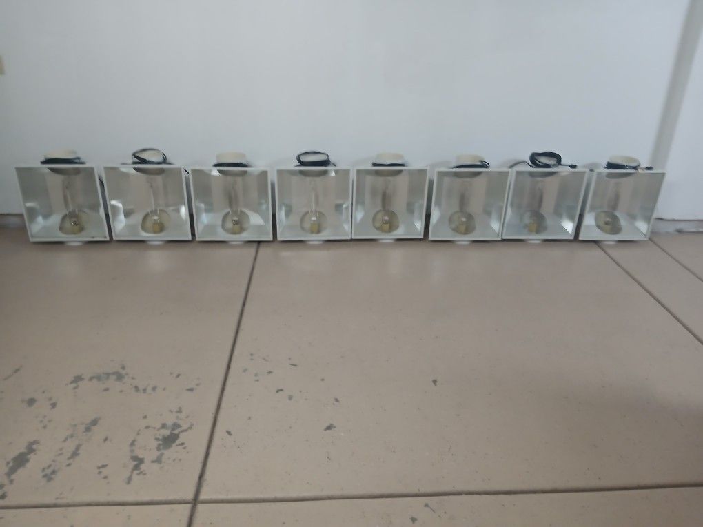 Growing Lights 1000 Watt Bulbs 