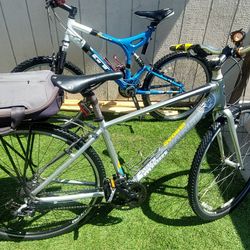 Giant Bike 