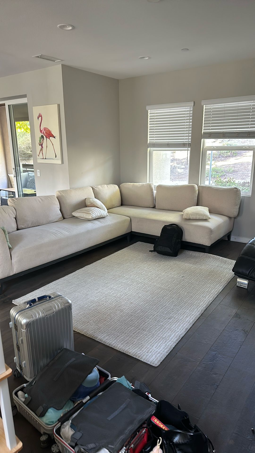 Sectional Sofa + Carpet