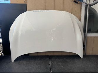 2019 2020 2021 2022 NISSAN SENTRA HOOD BONNET OEM USED