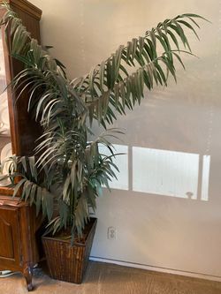 Beautiful artificial tree with wood base. Not heavy. Kept in living room so still beautiful!  $55