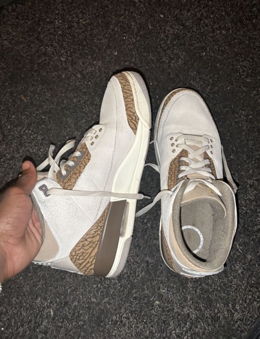 Palomino 3’s