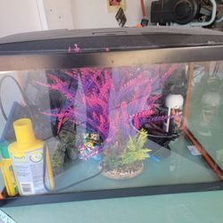 10 Gallon Glo Fish Tank