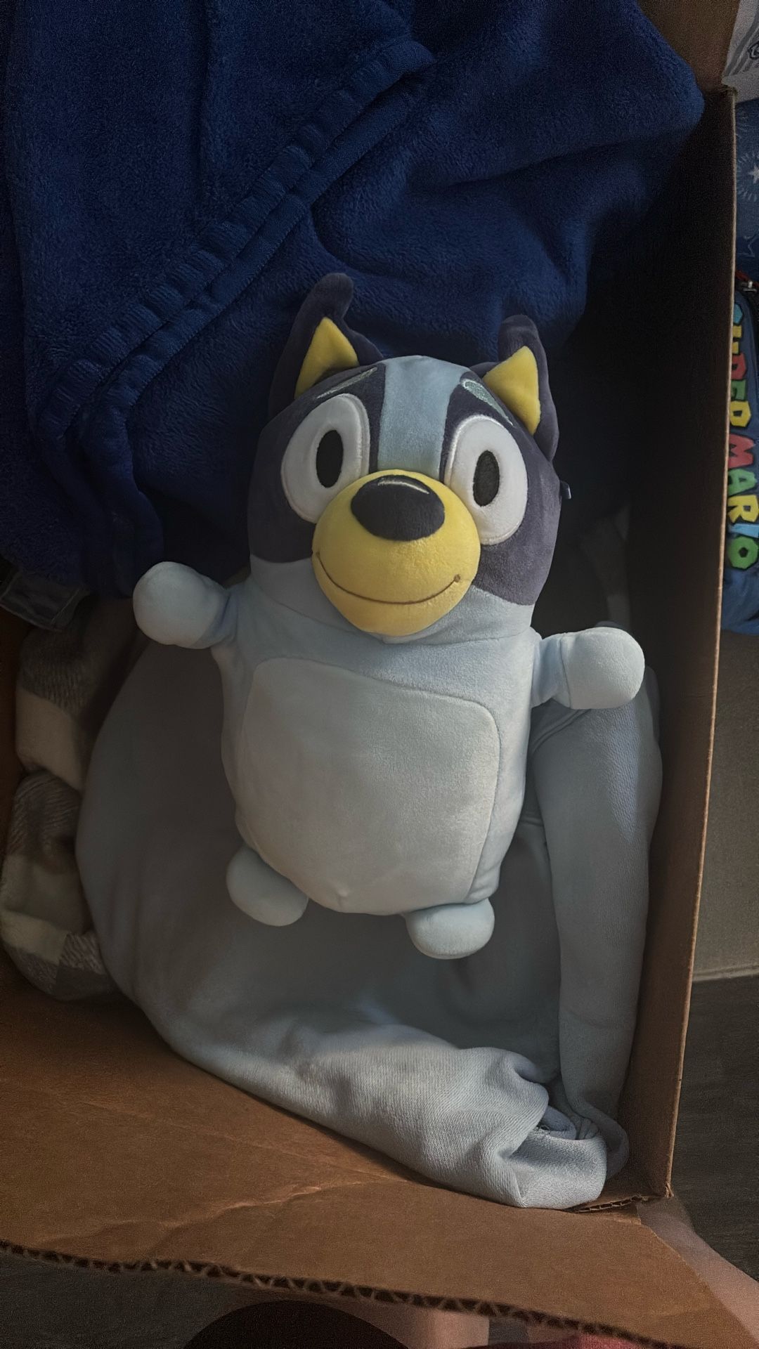 Bluey Plush