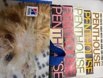 Collection of 10 random penthouse magazines