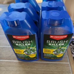 BRASH KILLER plus ROOTS and ALL 