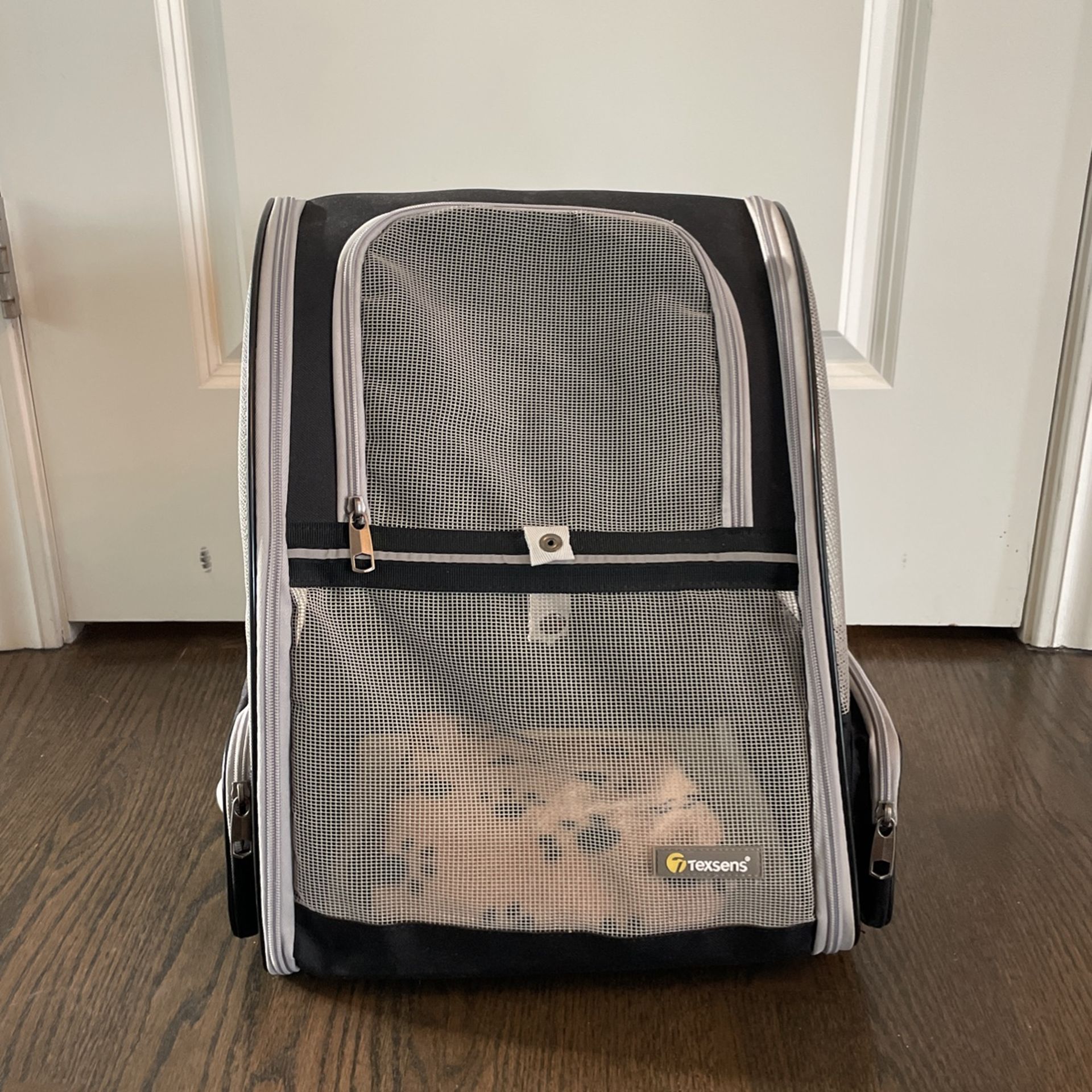 Pet backpack carrier