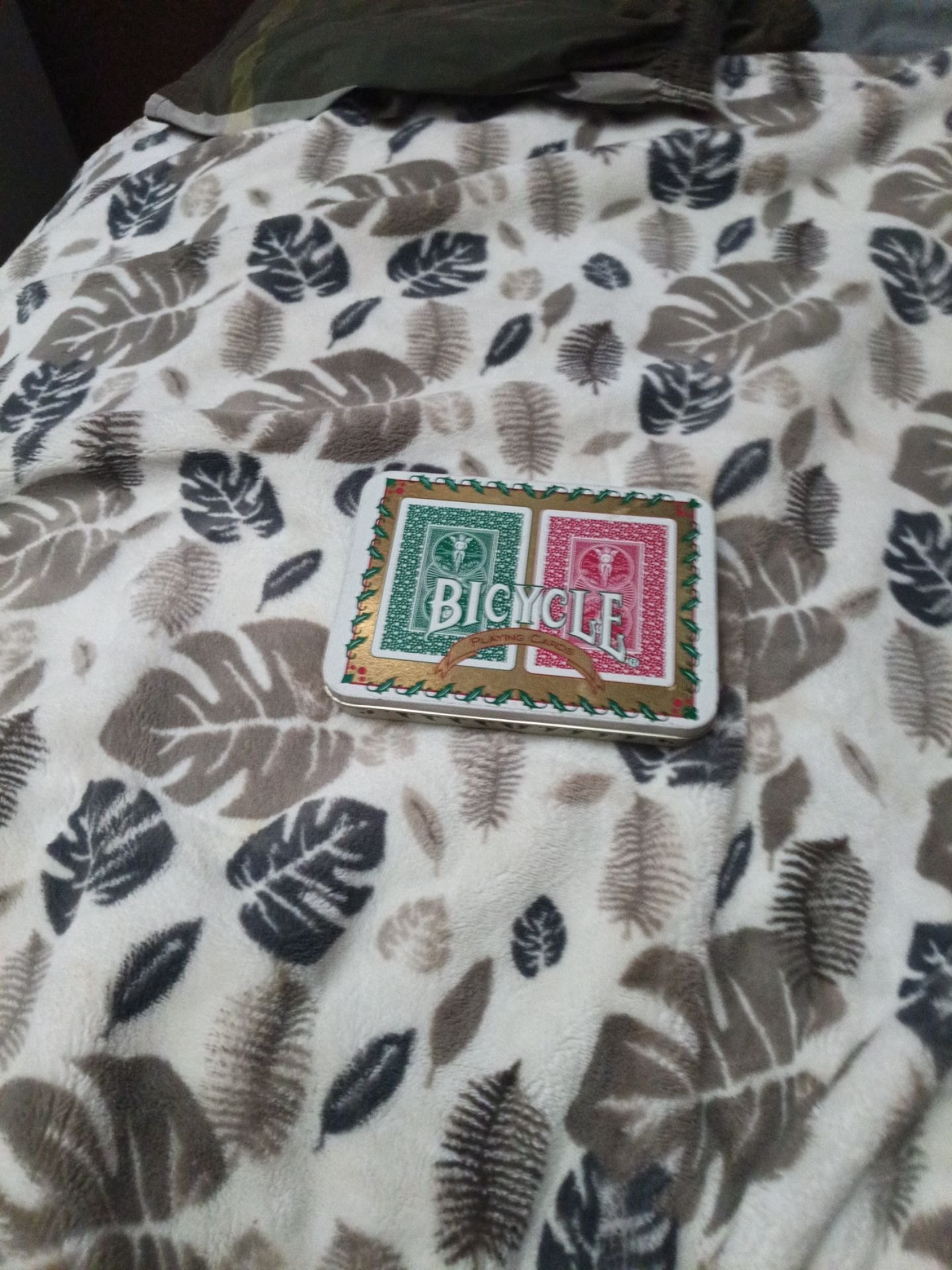 2 pack bicycle playing cards with case for sale