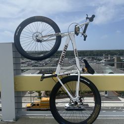 Beastmode Se bike