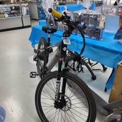 Electric Bike