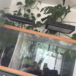 Aquarium Moving Sale 